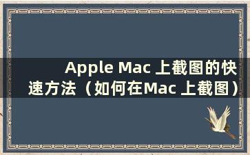 Apple Mac 上截图的快速方法（如何在Mac 上截图）